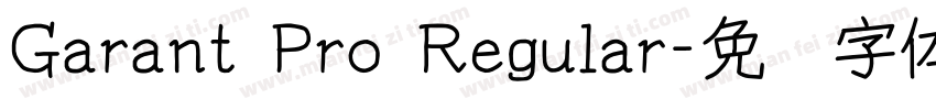 Garant Pro Regular字体转换
